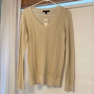 Banana Republic V neck Sweater, sparkly, cream